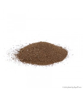 Artemia pete - 50 g - Artemia Koral Premium 90% - KIMÉRT