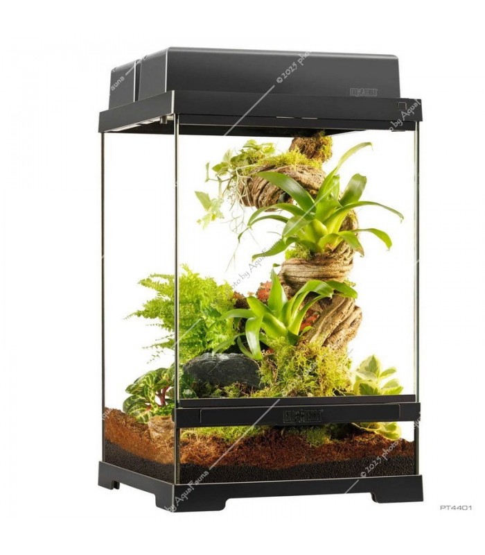 Hagen Exo Terra Pro Terrarium X-Small Talll - Dekoratív üvegterrárium (30x30x45 cm)