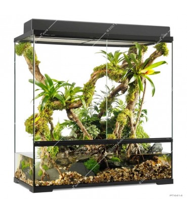 Hagen Exo Terra Pro Paludarium Large X-Tall - Dekoratív üveg paludárium (90X45x90 cm)