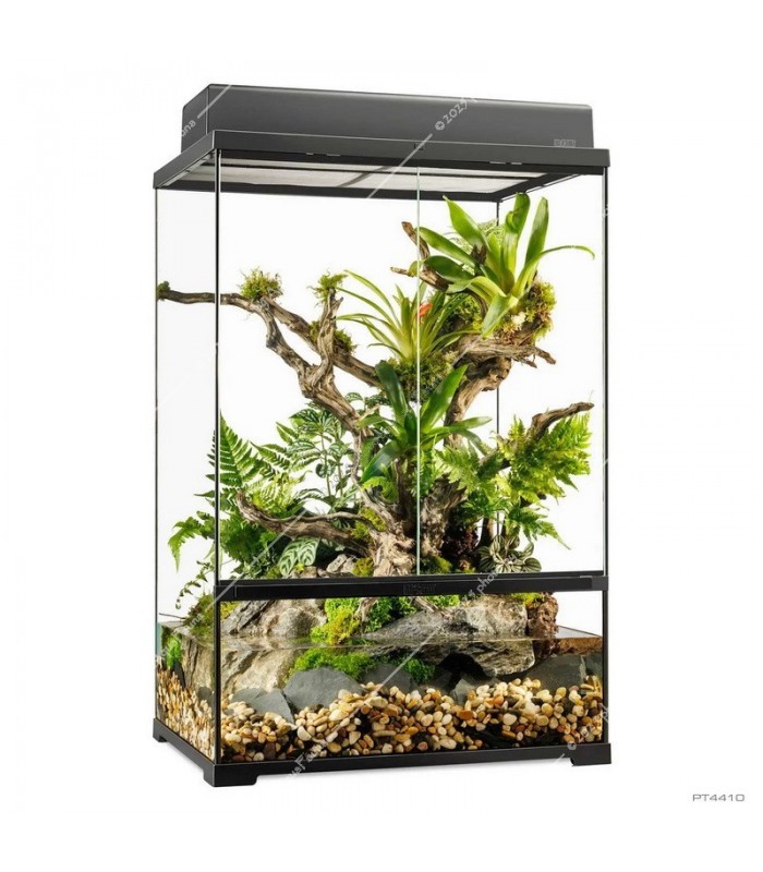 Hagen Exo Terra Pro Plaudarium Medium X-Tall - Dekoratív üveg paludárium (60x45x90 cm)