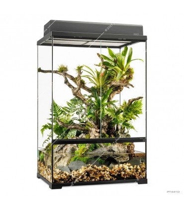 Hagen Exo Terra Pro Plaudarium Medium X-Tall - Dekoratív üveg paludárium (60x45x90 cm)