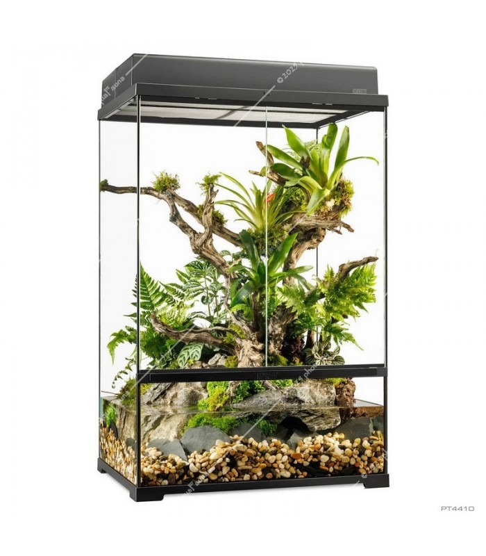 Hagen Exo Terra Pro Plaudarium Medium X-Tall - Dekoratív üveg paludárium (60x45x90 cm)