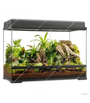Hagen Exo Terra Pro Terrarium Large Tall - Dekoratív üvegterrárium (90x45x60 cm)