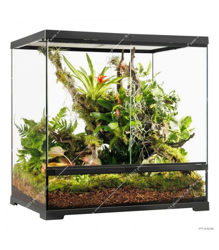 Hagen Exo Terra Pro Terrarium Medium Tall - Dekoratív üvegterrárium (60x45x60 cm)