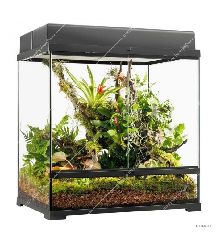 Hagen Exo Terra Pro Terrarium Medium Tall - Dekoratív üvegterrárium (60x45x60 cm)