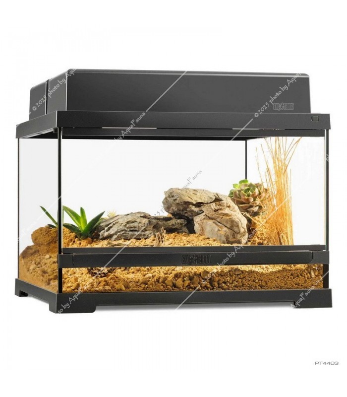 Hagen Exo Terra Pro Terrarium Small Low - Dekoratív üvegterrárium (45x45x30 cm)