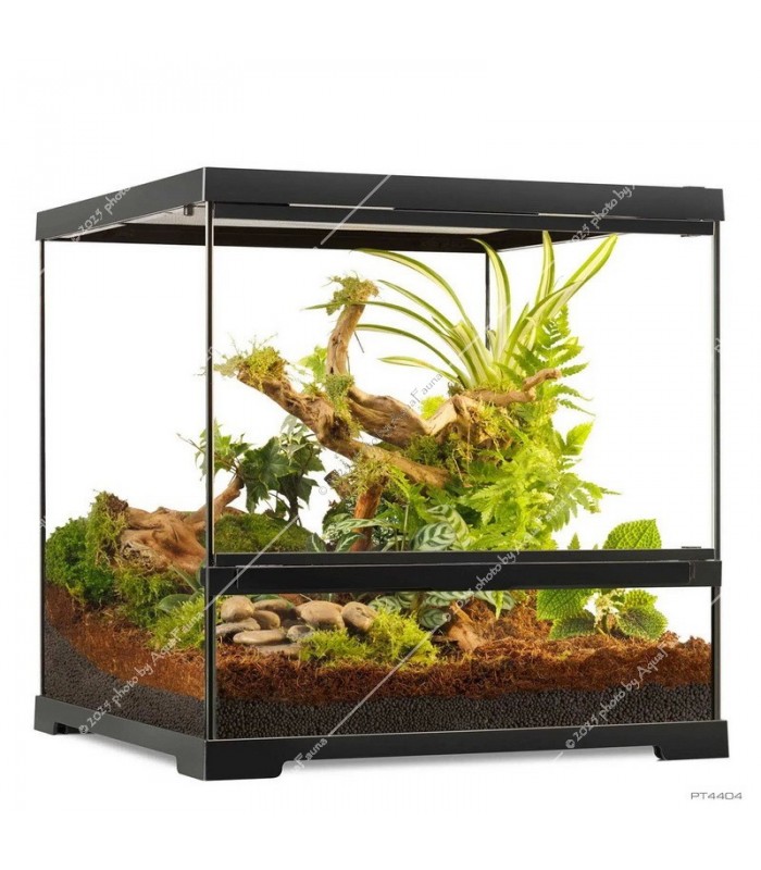 Hagen Exo Terra Pro Terrarium Small Wide - Dekoratív üvegterrárium (45x45x45 cm)