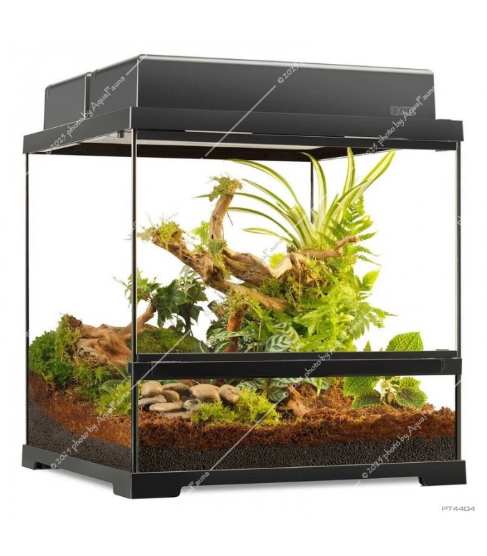 Hagen Exo Terra Pro Terrarium Small Wide - Dekoratív üvegterrárium (45x45x45 cm)