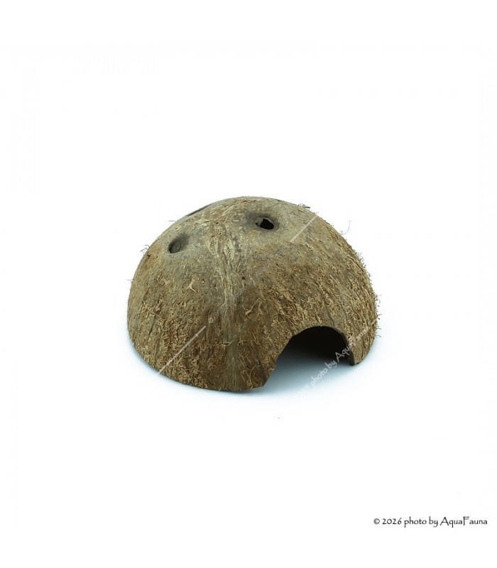 Repti Planet Coconut shell - kókuszhéj ház (L) terráriumi állatok részére