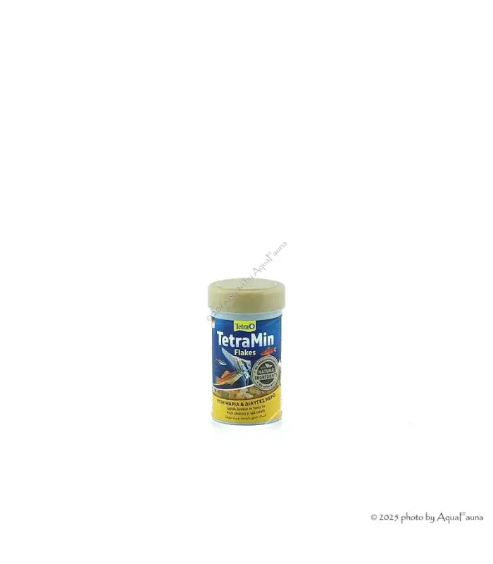 TetraMin Flakes 100 ml - lemezes főeleség