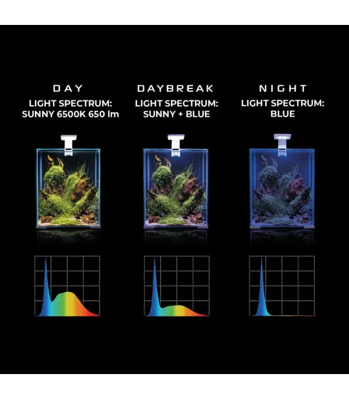 AquaEl Leddy Smart Sunny Day and Night csiptetős LED világítás - fekete