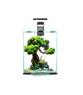 AquaEl Shrimp Smart szett 10 Day and Night - fekete - nano akvárium szett