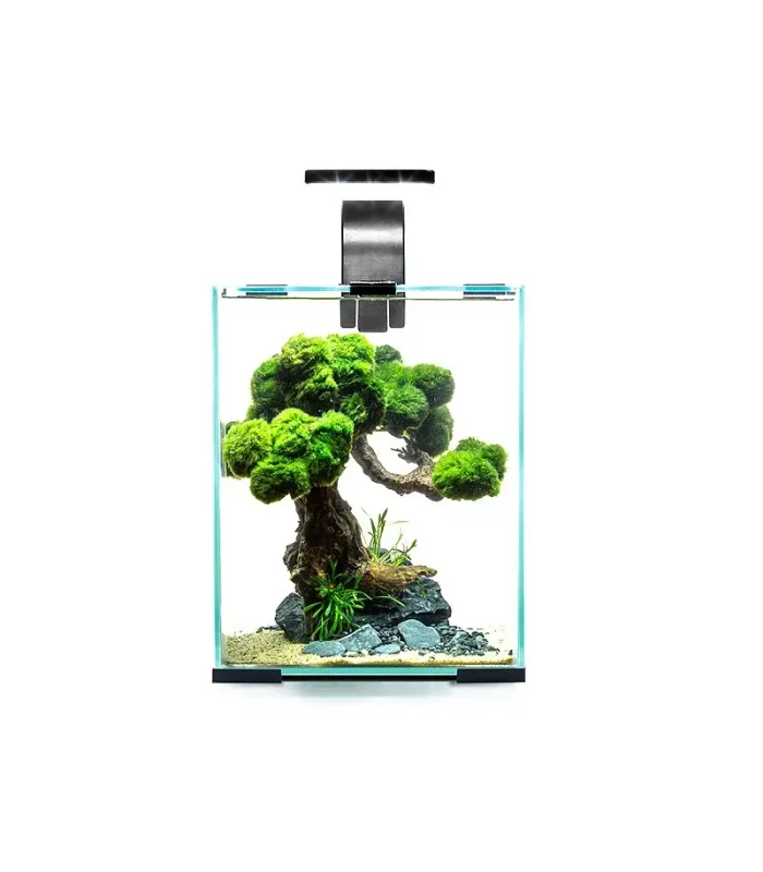 AquaEl Shrimp Smart szett 10 Day and Night - fekete - nano akvárium szett