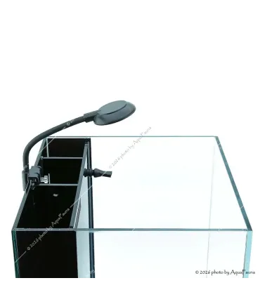 Nano akvárium szett DEE-280 - 20 liter rejtett hátsó szűrővel