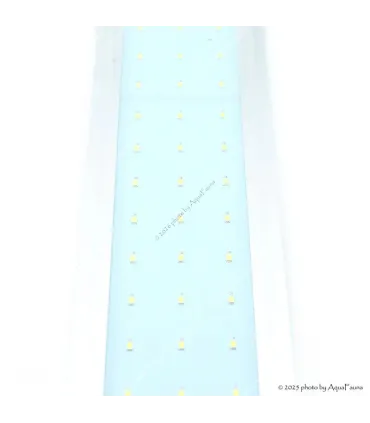 Deebow Dee-120 LED világítás (Premium) 120-140 cm