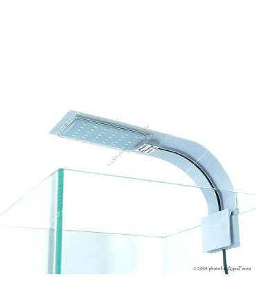 Deebow Dee-301 LED lámpa (fehér-vörös)