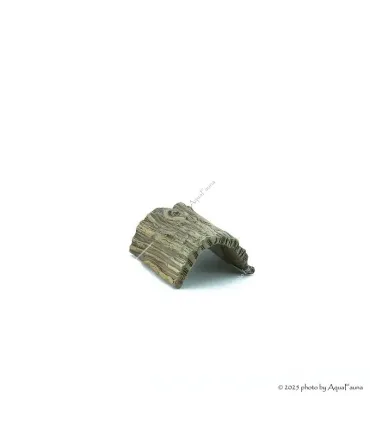 Kerámia fél fatörzs XS (12 cm)