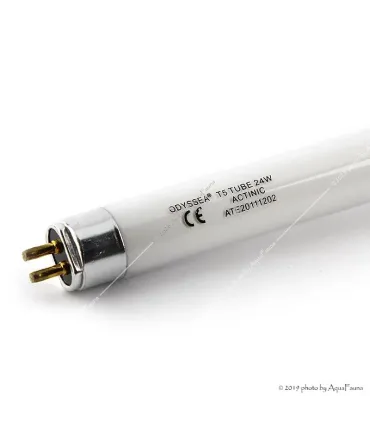 Odyssea fénycső T5 39W 30000K ACTINIC (85 cm)