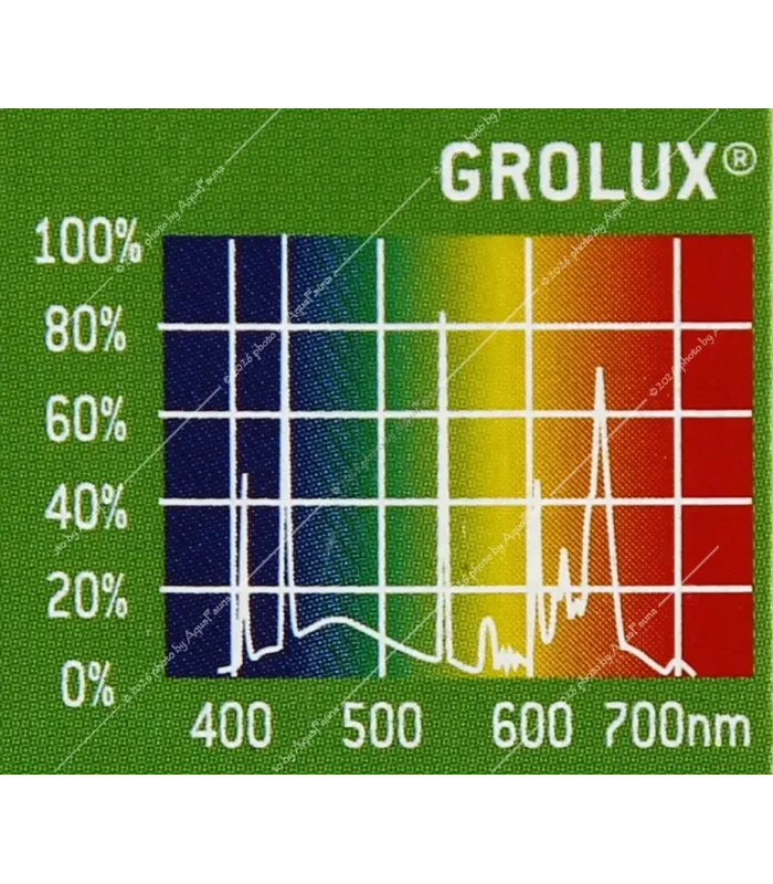 Sylvania GroLux FHO 80W - T5 növényes fénycső - 145 cm