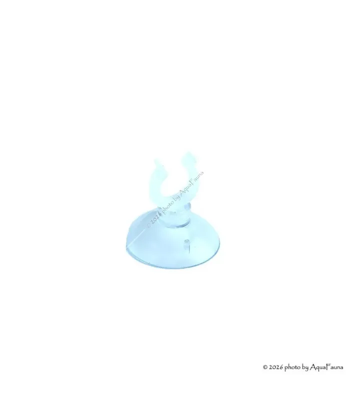 Tapadókorong karommal ÁTLÁTSZÓ - 12 mm (12/16 mm-es merev csőhöz vagy 9/12 mm-es hajlékony csőhöz)