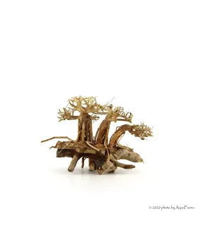 Bonsai Layout Family dekorfa - 20x15x15 cm