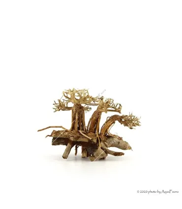 Bonsai Layout Family dekorfa - 20x15x15 cm
