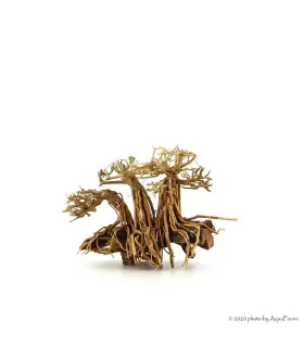 Bonsai Layout Family dekorfa - 20x15x15 cm