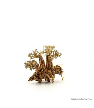 Bonsai Layout Family dekorfa - 20x15x15 cm