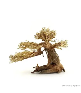 Bonsai Wood M dekorfa - 30x23x27 cm