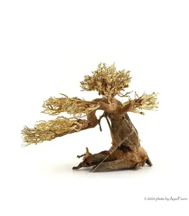 Bonsai Wood M dekorfa - 30x23x27 cm