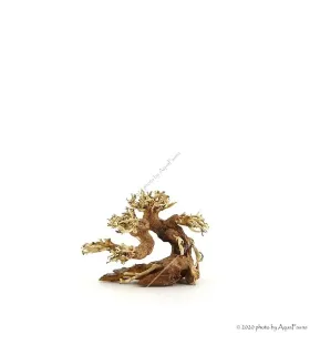 Bonsai Wood SSS dekorfa - 12x10x8 cm