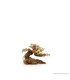 Bonsai Wood SSS dekorfa - 12x10x8 cm