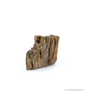 Dekorkő - Fossil wood / kg