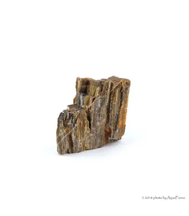 Dekorkő - Fossil wood / kg