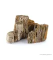 Dekorkő - Fossil wood / kg