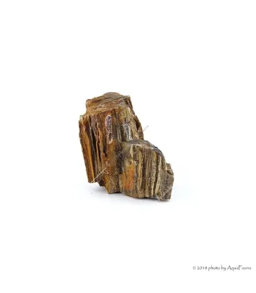 Dekorkő - Fossil wood / kg