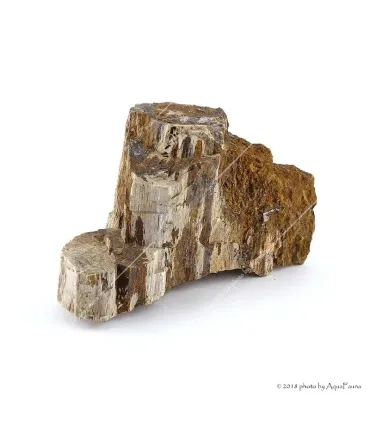 Dekorkő - Fossil wood / kg