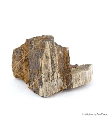 Dekorkő - Fossil wood / kg
