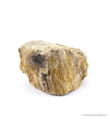 Dekorkő - Fossil wood / kg