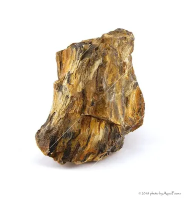 Dekorkő - Fossil wood / kg