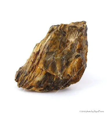 Dekorkő - Fossil wood / kg