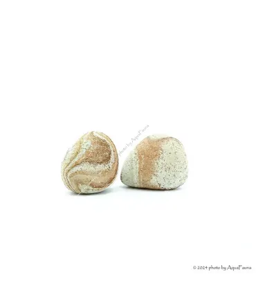 Dekorkő - Homokkő / kg