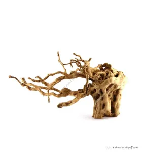 Finger gyökér dekorfa (40-50 cm) (Spiderwood, Red moor) / kg