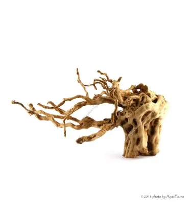 Finger gyökér dekorfa (40-50 cm) (Spiderwood, Red moor) / kg
