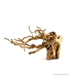 Finger gyökér dekorfa (40-50 cm) (Spiderwood, Red moor) / kg