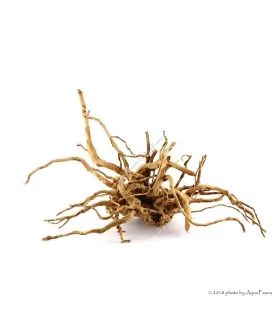 Finger gyökér dekorfa (40-50 cm) (Spiderwood, Red moor) / kg