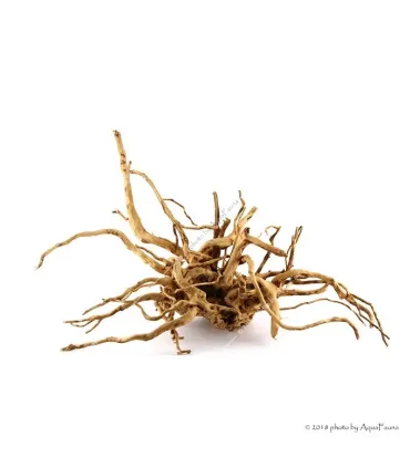 Finger gyökér dekorfa (40-50 cm) (Spiderwood, Red moor) / kg