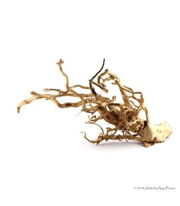 Finger gyökér dekorfa (40-50 cm) (Spiderwood, Red moor) / kg
