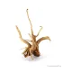 Finger-gyökér nano dekorfa (10-20 cm) (Spiderwood, Red moor) / db