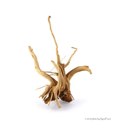 Finger-gyökér nano dekorfa (10-20 cm) (Spiderwood, Red moor) / db